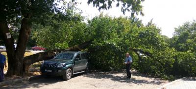 Прикрепленное изображение: 2017-07-26 15-08-23_cr.jpg